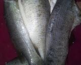 Foto langkah ke 1 dari resep Gulai ikan kakap, simple.