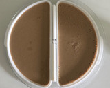 Foto del paso 2 de la receta: Bizcochitos rápidos de café!!!