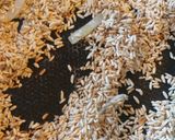 A picture of step 2 of Sopa de Arroz (Spanish rice).