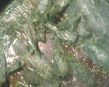 A picture of step 5 of Saag paneer.