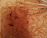 Foto del paso 2 de la receta: Queque integral de Manzana y Chía