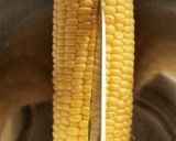A picture of step 1 of Amazingly Good Corn Soup Made from Fresh Corn.