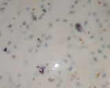 A picture of step 1 of Falooda Mix Dessert.
