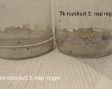 Az én kovászom recept fázis 3 fotója