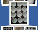 Australian Neenish Tarts . recipe step 2 photo