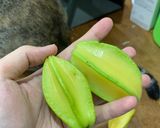 Hình bước làm 1 của món Canh Hến Khế Chua