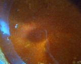 Foto del paso 1 de la receta: Pastel imposible o chocoflan 🍮 de chocolate semiamargo