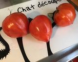 Une image de l'étape 2 de Salade feuille de chêne aux tomates cœur de bœuf,olives vertes et spiruline.