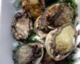 A picture of step 1 of Easy Abalone Cooked In Butter.