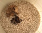 Nakiyamatakin girki2 hoto