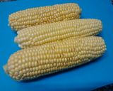 Foto del paso 1 de la receta: Choclos asados