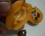 A picture of step 6 of How to Peel a Loquat.