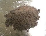A picture of step 5 of Instant Chocolate Cookies.