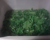 Kale-freezing recipe step 2 photo