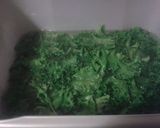 A picture of step 2 of Kale-freezing.