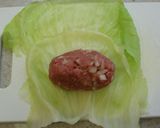 A picture of step 6 of Cabbage and Cheese Rolls in Tomato Sauce.