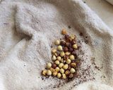Foto del paso 1 de la receta: Nutella casera