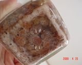 A picture of step 5 of Sake Lees Yeast - Liquid Bread Starter.
