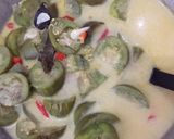 Foto langkah ke 3 dari resep Sayur terong hijau santan.