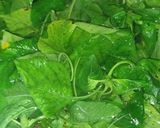 Foto langkah ke 3 dari resep Sayur Bayam.