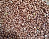 Foto langkah ke 1 dari resep Balado / Kering Kacang Teri.