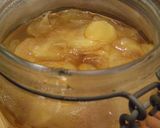 A picture of step 6 of Honey Ginger Ale.