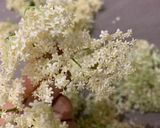 Foto langkah ke 1 dari resep Homemade elderflower sirup (sirup bunga rumahan).