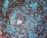 Foto del paso 7 de la receta: Chocotorta en molde redondo viernesdepecado