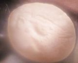 A picture of step 9 of Phulka Chapati.
