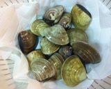 A picture of step 2 of A Standard! Hamaguri Clam Sake Simmer.