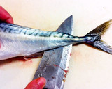 A picture of step 19 of How to Fillet a Whole Fish.