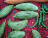عکس مرحله 2 از دستور ترشی خیار چنبر solmaz