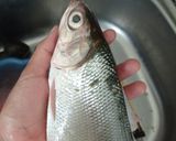 Foto langkah ke 1 dari resep Bandeng bakar Lombok khas Bugis (bale Bolu tunu)/ Bandeng rica.