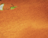 Foto del paso 8 de la receta: Arroz con sepia y conejo