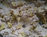 Foto langkah ke 1 dari resep Pepes tahu kerupuk.