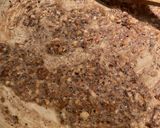 A picture of step 4 of Salisbury steak with mushroom gravy.
