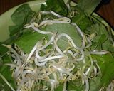 Foto langkah ke 1 dari resep Sayur Bening.