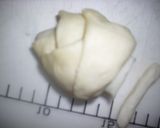 A picture of step 9 of Bamboo Shoot Shaped bread.
