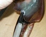 A picture of step 2 of How to Skin a Japanese Squid.