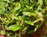 পালং শাক ভাজা (palak saag bhaja recipe in bengali) রেসিপির ধাপ 1 ছবি