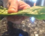 Foto del paso 1 de la receta: Rollos de espinaca