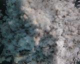 தக்காளி சட்னி (thakkali chutni recipe in Tamil) ரெசிபி ஸ்டேப் 1 புகைப்படம்