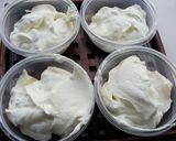 A picture of step 9 of Fruity Frozen Yogurt.