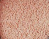 A picture of step 1 of Masoor dal.
