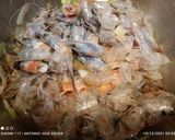 Foto del paso 1 de la receta: Calamares rellenos con salsa de langostinos