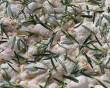 Foto del paso 5 de la receta: Pan Focaccia
