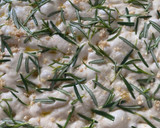 Foto del paso 5 de la receta: Pan Focaccia