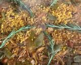 Foto del paso 20 de la receta: Arroz en paella 🥘 o sartén, con paletilla de cordero