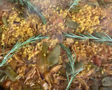 Foto del paso 20 de la receta: Arroz en paella 🥘 o sartén, con paletilla de cordero