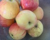Une image de l'étape 1 de Confiture de pommes 🍎 🍏.